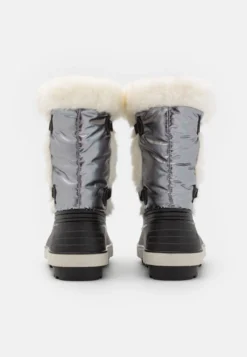Anna Field Bottes De Neige - Silver -Zalando 2ef0393028344e8a88a4309df3020fd9 scaled